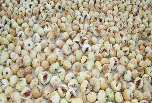 تصویر 1 از خرید و قیمت انجیر خشک اسلایسی + فروش عمده